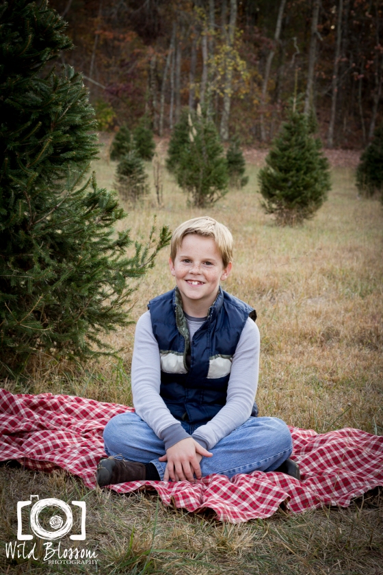 wildblossomphotographyclappchristmasminisession-23